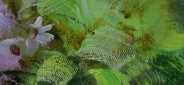 Картина маслом "Яркий фейерверк" Цена: 9700 руб. Размер: 50 x 60 см. Увеличенный фрагмент.