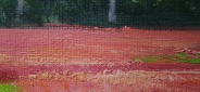 Картина маслом "Яркая поляна" Цена: 10900 руб. Размер: 70 x 50 см. Увеличенный фрагмент.