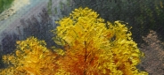 Картина "Осеннее утро" Цена: 7200 руб. Размер: 50 x 70 см. Увеличенный фрагмент.