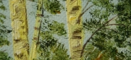 Картина "Пейзаж с березами" Цена: 7700 руб. Размер: 50 x 40 см. Увеличенный фрагмент.
