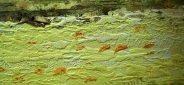 Картина "Поле подсолнухов" Цена: 10900 руб. Размер: 90 x 60 см. Увеличенный фрагмент.