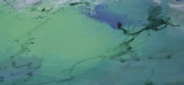 Картина "Прибрежные скалы" Цена: 10300 руб. Размер: 80 x 60 см. Увеличенный фрагмент.