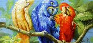 Картина "Три попугая" Цена: 9200 руб. Размер: 50 x 60 см.