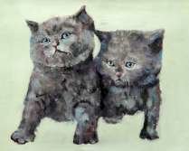 Картина "Два котенка"