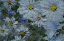 Картина "Нежные ромашки" Цена: 5800 руб. Размер: 50 x 40 см. Увеличенный фрагмент.