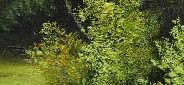 Репродукция картины "Полдень" Орловского Цена: 17100 руб. Размер: 120 x 60 см. Увеличенный фрагмент.