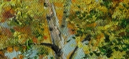 Картина "Солнечный пейзаж" Цена: 8500 руб. Размер: 50 x 70 см. Увеличенный фрагмент.