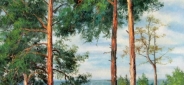 Картина "Сосны" Цена: 6500 руб. Размер: 50 x 70 см.