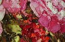 Картина маслом "Розовые и белые пионы" Цена: 9000 руб. Размер: 60 x 60 см. Увеличенный фрагмент.