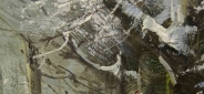 Картина "Зимушка" Цена: 8600 руб. Размер: 50 x 60 см. Увеличенный фрагмент.